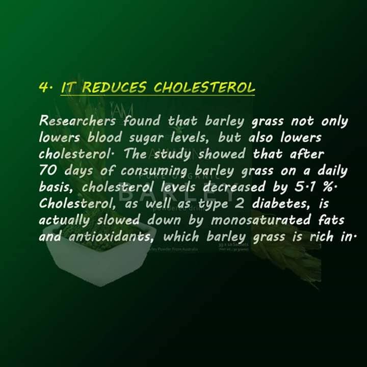 Reduces Cholesterol